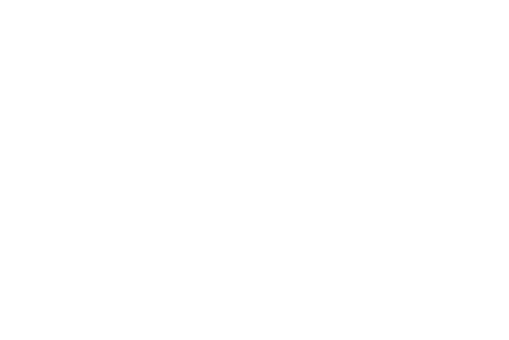 Ali Bin Ali